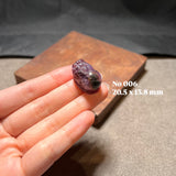 極光貔貅