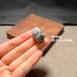極光貔貅