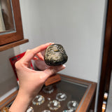 金銀曜達摩